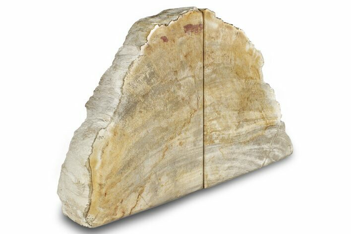 Petrified Wood (Tropical Hardwood) Bookends - Indonesia #266201